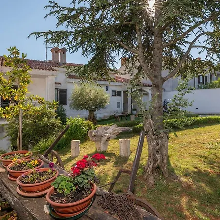 House Ingrid Daire *